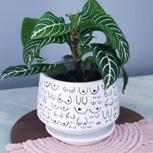 Load image into Gallery viewer, Modern White Planter with Saucer
