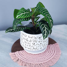 Load image into Gallery viewer, Modern White Planter with Saucer