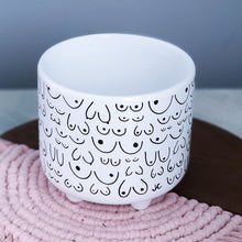 Load image into Gallery viewer, Footed Planter