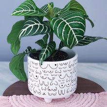 Load image into Gallery viewer, Footed Planter