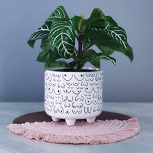 Load image into Gallery viewer, Footed Planter