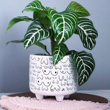 Load image into Gallery viewer, Footed Planter