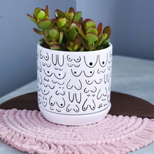 Load image into Gallery viewer, Planter with Saucer