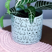 Load image into Gallery viewer, Planter Blue Mist