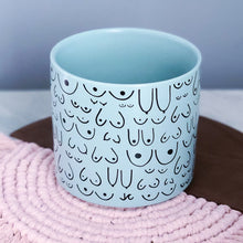 Load image into Gallery viewer, Planter Blue Mist