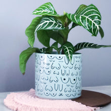 Load image into Gallery viewer, Planter Blue Mist