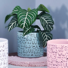 Load image into Gallery viewer, Planter Blue Mist