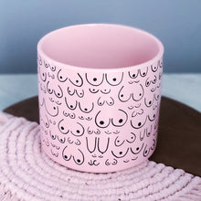 Load image into Gallery viewer, Petal Pink Planter