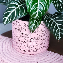 Load image into Gallery viewer, Petal Pink Planter