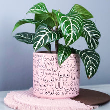 Load image into Gallery viewer, Petal Pink Planter