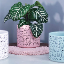 Load image into Gallery viewer, Petal Pink Planter