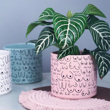 Load image into Gallery viewer, Petal Pink Planter