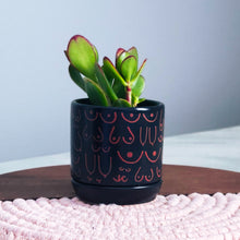 Load image into Gallery viewer, Matte Black + Brown Planter