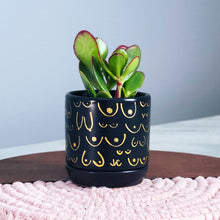 Load image into Gallery viewer, Matte Black + Gold Planter