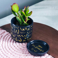 Load image into Gallery viewer, Matte Black + Gold Planter