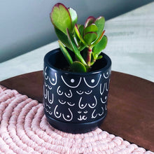 Load image into Gallery viewer, Matte Black + Silver Planter