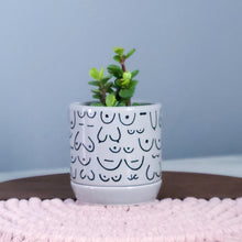 Load image into Gallery viewer, Brave Boobies Gray Planter