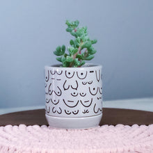Load image into Gallery viewer, Brave Boobies Gray Planter