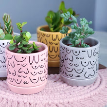 Load image into Gallery viewer, Brave Boobies Gray Planter