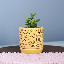 Load image into Gallery viewer, Brave Boobies Marigold Planter