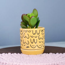 Load image into Gallery viewer, Brave Boobies Marigold Planter