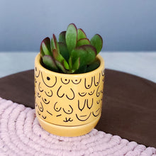 Load image into Gallery viewer, Brave Boobies Marigold Planter