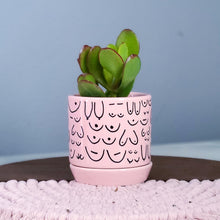 Load image into Gallery viewer, Brave Boobies Pink Planter