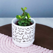 Load image into Gallery viewer, Brave Boobies White Planter