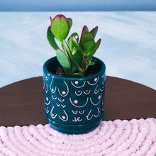 Load image into Gallery viewer, Emerald Tits Up Planter