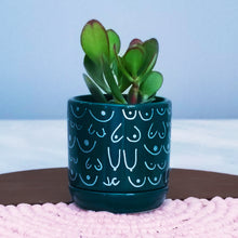 Load image into Gallery viewer, Emerald + Silver Planter