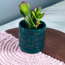 Load image into Gallery viewer, Emerald + Brown Planter