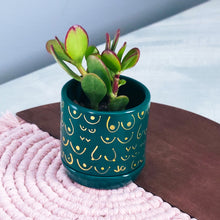 Load image into Gallery viewer, Emerald + Gold Planter