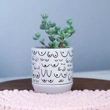 Load image into Gallery viewer, Classic Gray Planter