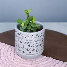 Load image into Gallery viewer, Classic Gray Planter