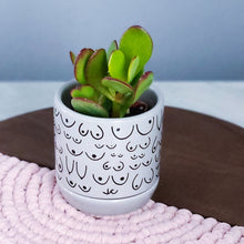 Load image into Gallery viewer, Classic Gray Planter