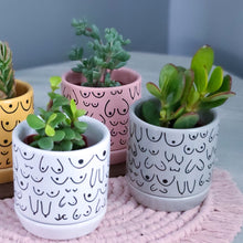 Load image into Gallery viewer, Classic Gray Planter