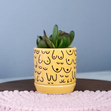 Load image into Gallery viewer, Classic Marigold Planter