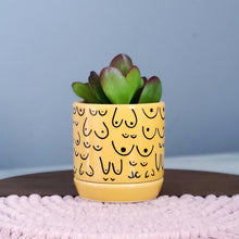 Load image into Gallery viewer, Classic Marigold Planter