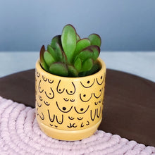 Load image into Gallery viewer, Classic Marigold Planter