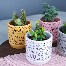 Load image into Gallery viewer, Classic Marigold Planter