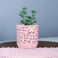 Load image into Gallery viewer, Classic Pink Planter