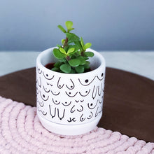 Load image into Gallery viewer, Classic Planter