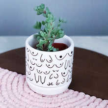 Load image into Gallery viewer, Classic Planter