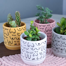 Load image into Gallery viewer, Classic Planter