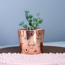 Load image into Gallery viewer, Rose Gold Planter