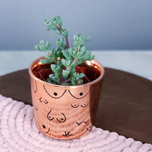 Load image into Gallery viewer, Rose Gold Planter