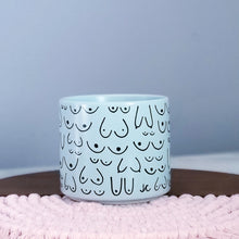 Load image into Gallery viewer, Blue Mist Planter