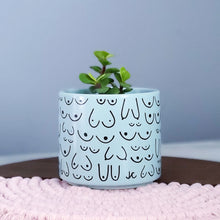 Load image into Gallery viewer, Blue Mist Planter