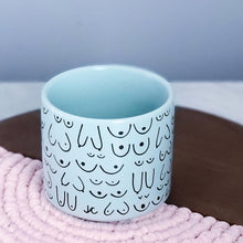 Load image into Gallery viewer, Blue Mist Planter