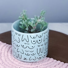 Load image into Gallery viewer, Blue Mist Planter